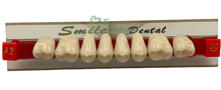 Acrylic Resin Teeth Story